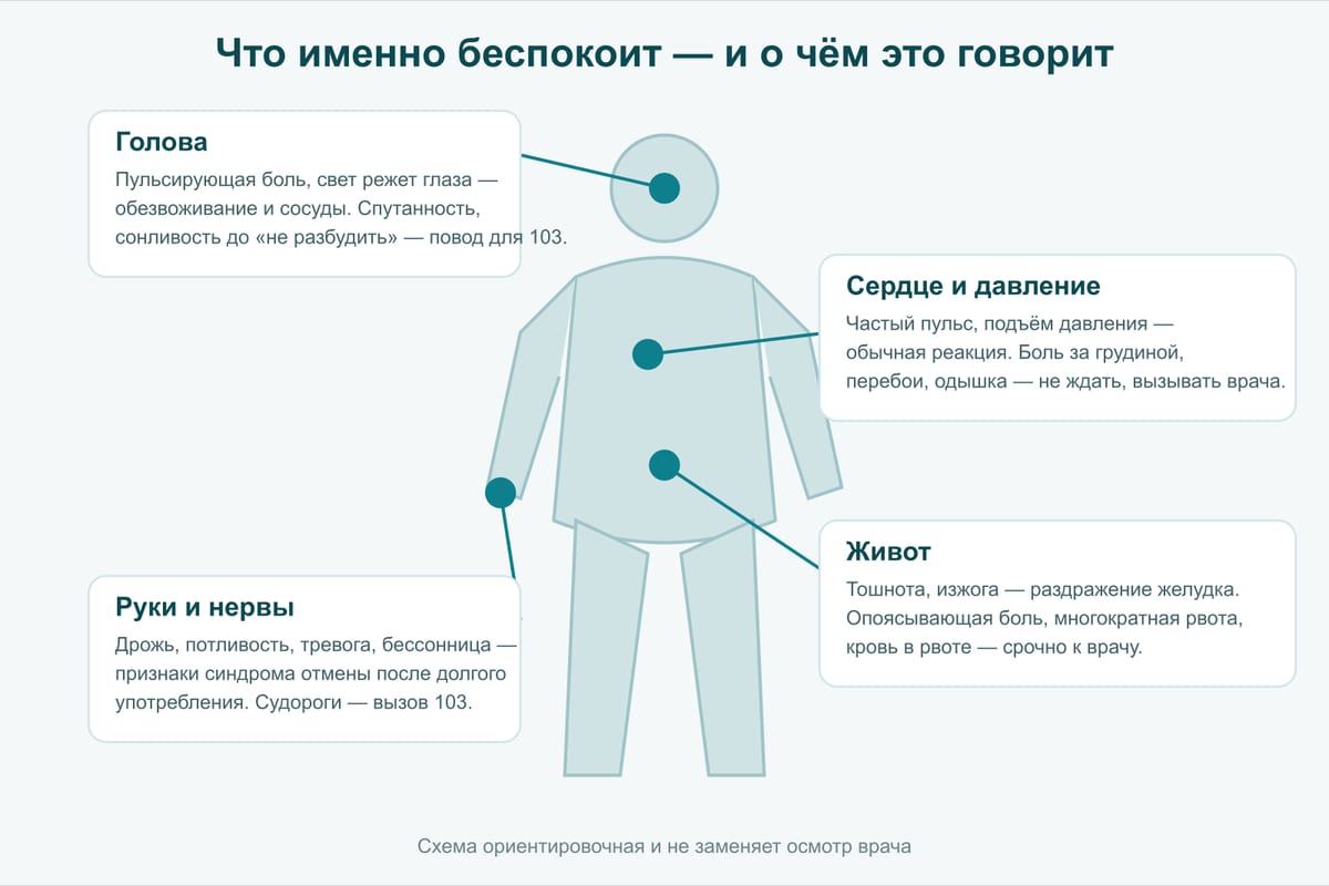 Схема: что именно беспокоит после алкоголя и когда это тревожный знак. Голова — боль и свет режет глаза от сосудов, но спутанность и «не разбудить» — вызов 103. Сердце и давление — частый пульс — обычная реакция, боль за грудиной и одышка — к врачу. Живот — тошнота и изжога от желудка, кровь в рвоте — срочно к врачу. Руки и нервы — дрожь и тревога при синдроме отмены, судороги — вызов 103